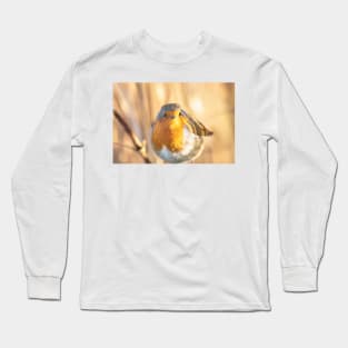 Robin portrait in golden light Long Sleeve T-Shirt